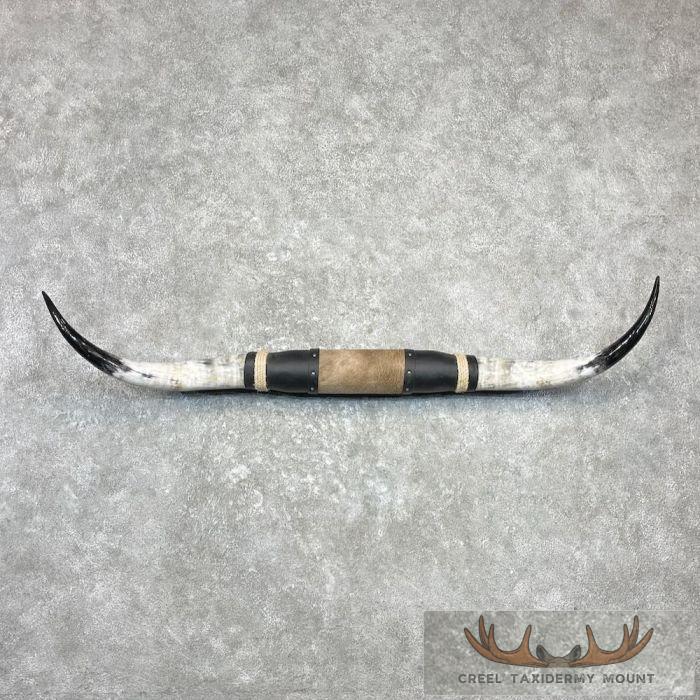 Longhorn Steer Plaque For Sale