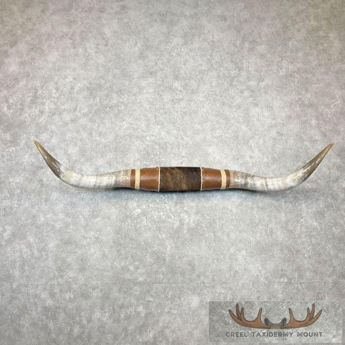 Longhorn Steer Plaque For Sale