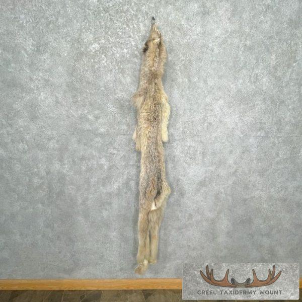 Lynx Tanned Hide For Sale