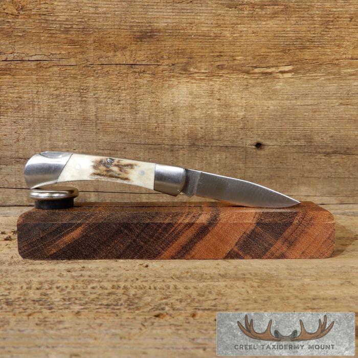 Mini Folding Pocket Knife with Elk Antler Handle For Sale