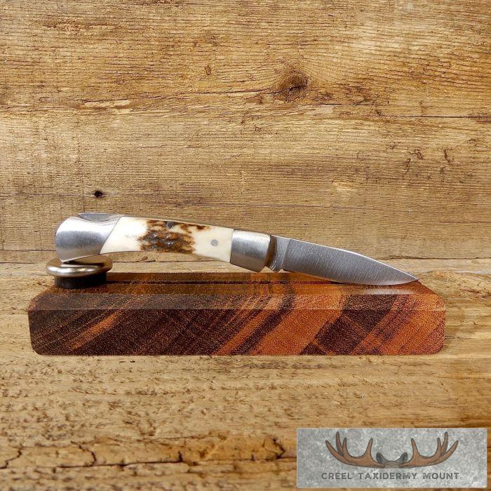 Mini Folding Pocket Knife with Elk Antler Handle For Sale