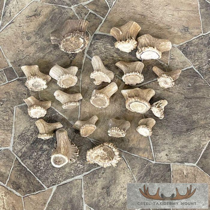 Mixed Antler Burr Craft Pack For Sale