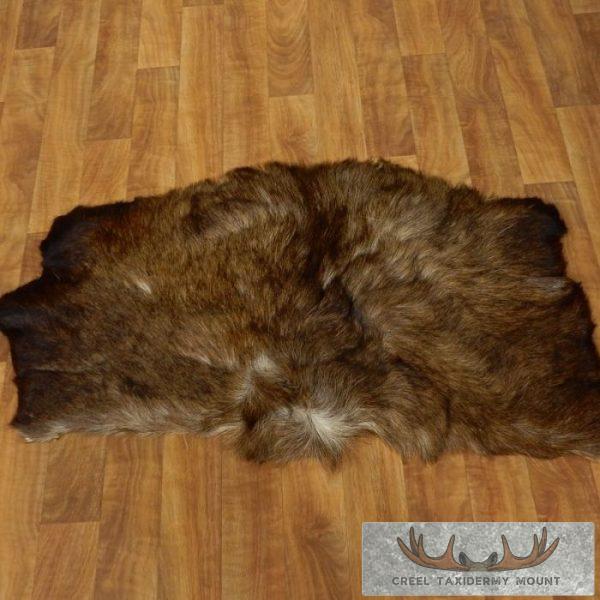 Moose Back Hide Taxidermy Tanned Skin For Sale