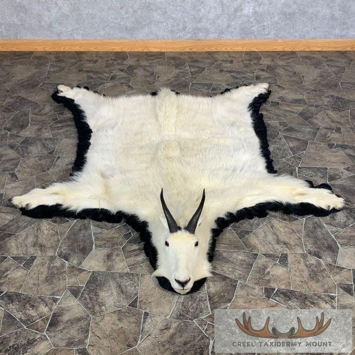 Mount Goat Rug Mountain Goat Full Size Taxidermy For Sale | Creel Taxidermy