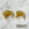 Mountain Lion Claws For Sale