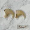 Mountain Lion Claws For Sale