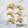 Mountain Lion Claws For Sale