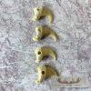 Mountain Lion Claws Taxidermy For Sale