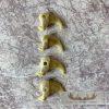 Mountain Lion Claws Taxidermy For Sale