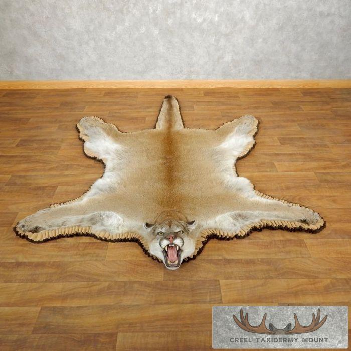 Mountain Lion (Cougar) Full Size Taxidermy Rug Mount For Sale