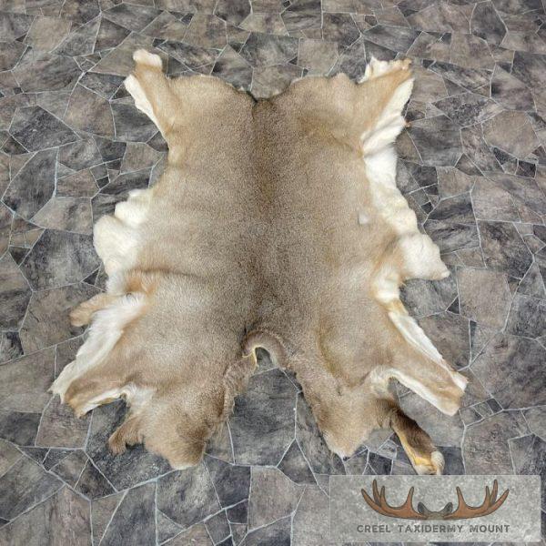 Mule Deer Tanned Hide For Sale