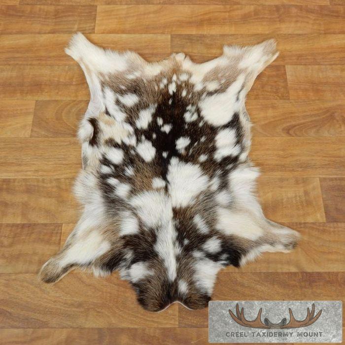 Multi-Color Goat Hide Taxidermy Tanned Skin For Sale