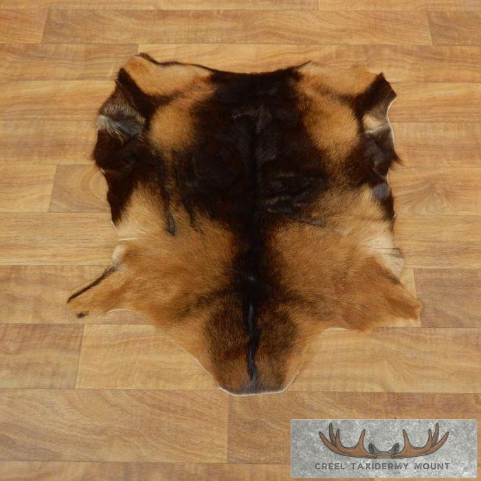 Multi-Color Goat Hide Taxidermy Tanned Skin For Sale