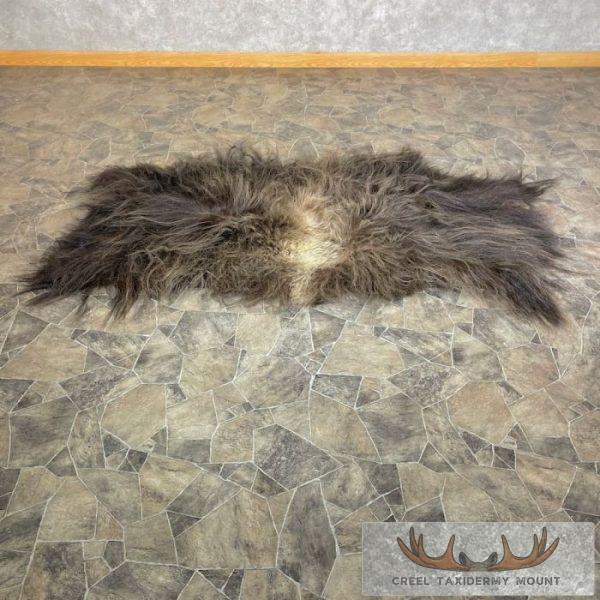 Muskox Back Hide Taxidermy Mount For Sale