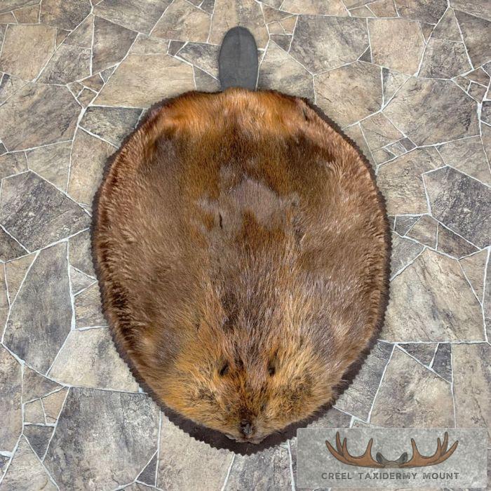 North American Beaver Rug For Sale