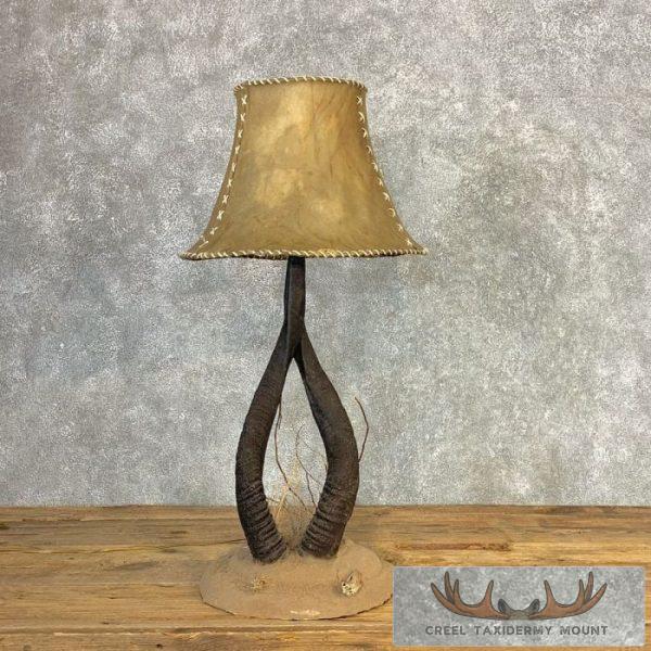 Nyala Horn Taxidermy Lamp Safari Decor For Sale