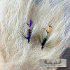 2" Authentic Polar Bear Hair for Fly Tying & Crafting - 9in²