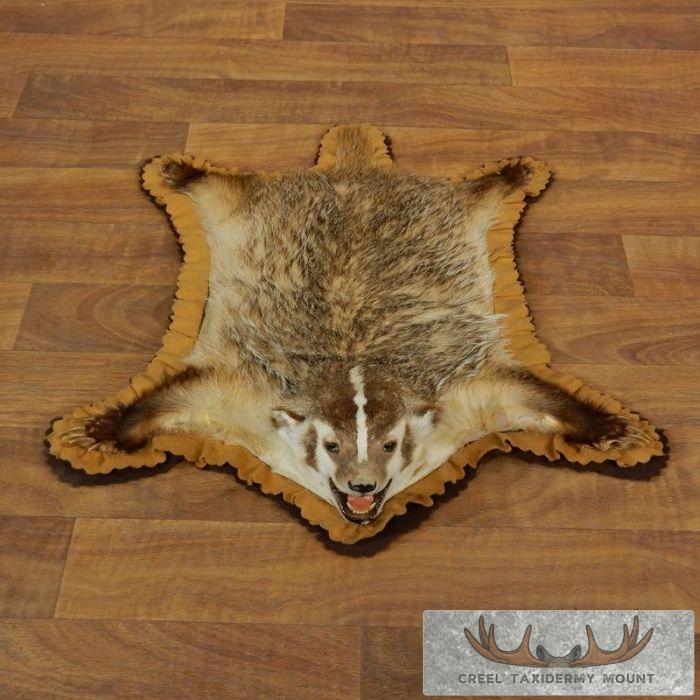 Badger Full-Size Rug Taxidermy Mount For Sale