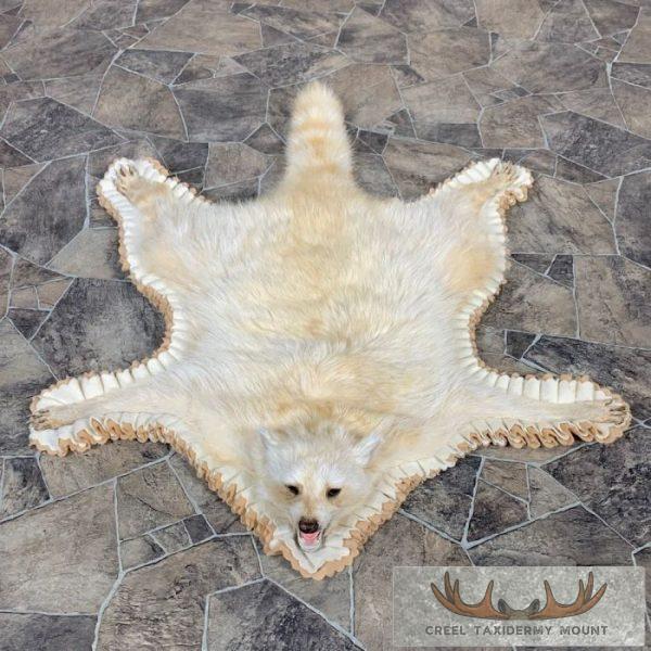 Albino Raccoon Full-Size Rug Taxidermy Mount For Sale