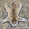 Raccoon Full-Size Rug For Sale