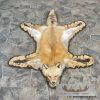 Red Fox Full Rug Taxidermy Mount For Sale