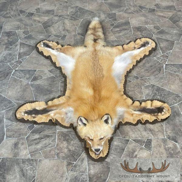 Red Fox Full Rug Taxidermy Mount For Sale