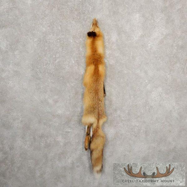 Red Fox Tanned Hide For Sale