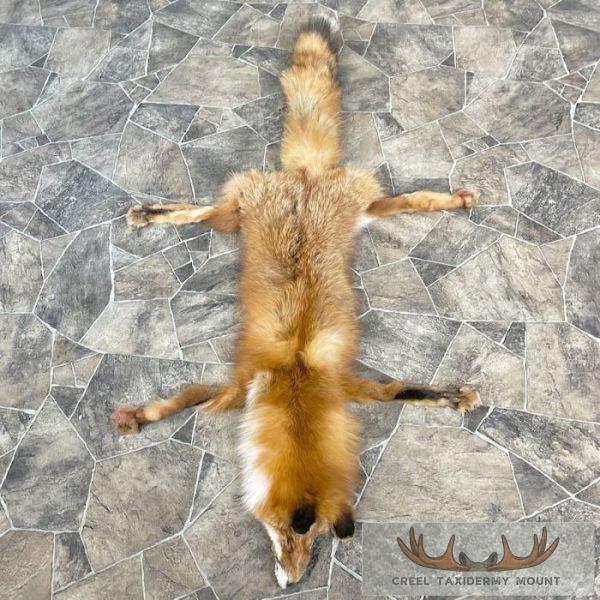 Red Fox Tanned Hide Taxidermy For Sale