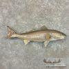 Redfish Taxidermy Fish Mount For Sale