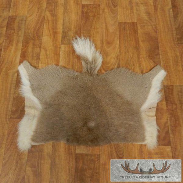 Reedbuck Tanned Back Hide For Sale