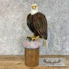 Reproduction Bald Eagle Taxidermy Bird Mount For Sale