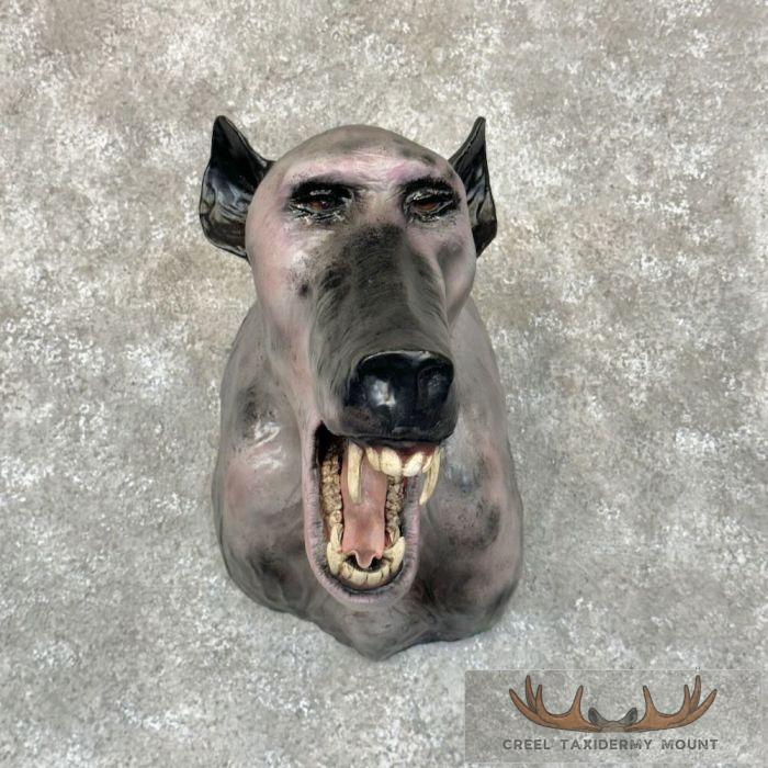 Reproduction Chupacabra Monster Shoulder Mount For Sale