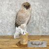 Reproduction Great Great Owl Taxidermy Mount For Sale