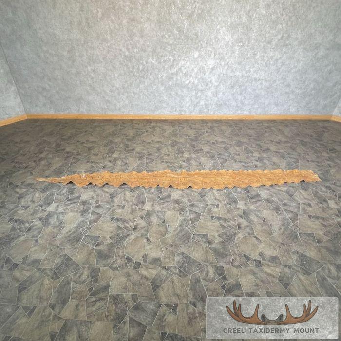 African Rock Python Snake Skin Rug Mount For Sale