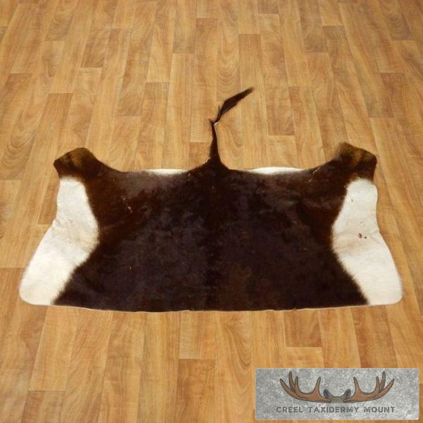 Sable Tanned Back Hide For Sale