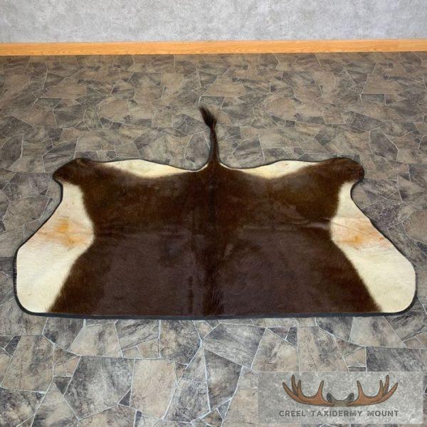 Sable Taxidermy Rug For Sale