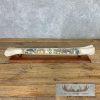 Scrimshaw Giraffe Bone Safari Decor For Sale