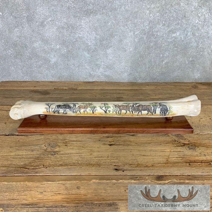 Scrimshaw Giraffe Bone Safari Decor For Sale