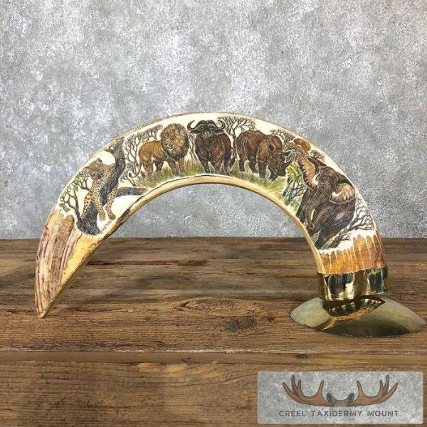 Scrimshaw Hippopotamus Tooth Safari Decor For Sale