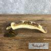 Scrimshaw Hippopotamus Tooth Safari Decor For Sale
