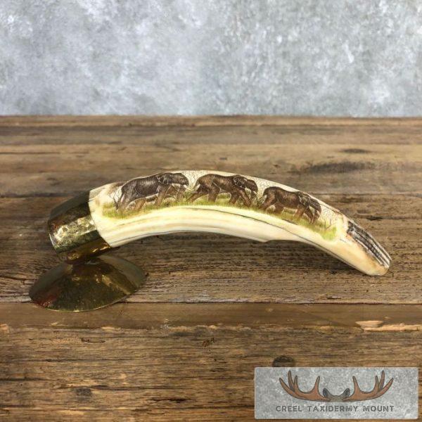 Scrimshaw Hippopotamus Tooth Safari Decor For Sale