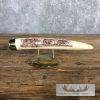 Scrimshaw Hippopotamus Tooth Safari Decor For Sale