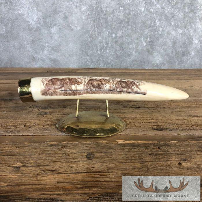Scrimshaw Hippopotamus Tooth Safari Decor For Sale