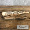 Scrimshaw Hippopotamus Tooth Safari Decor For Sale