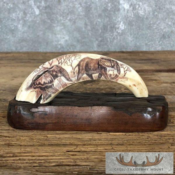 Scrimshaw Warthog Tooth Safari Decor For Sale