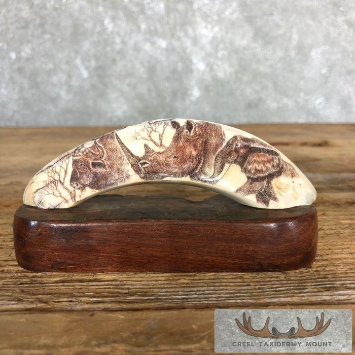 Scrimshaw Warthog Tooth Taxidermy Mount For Sale