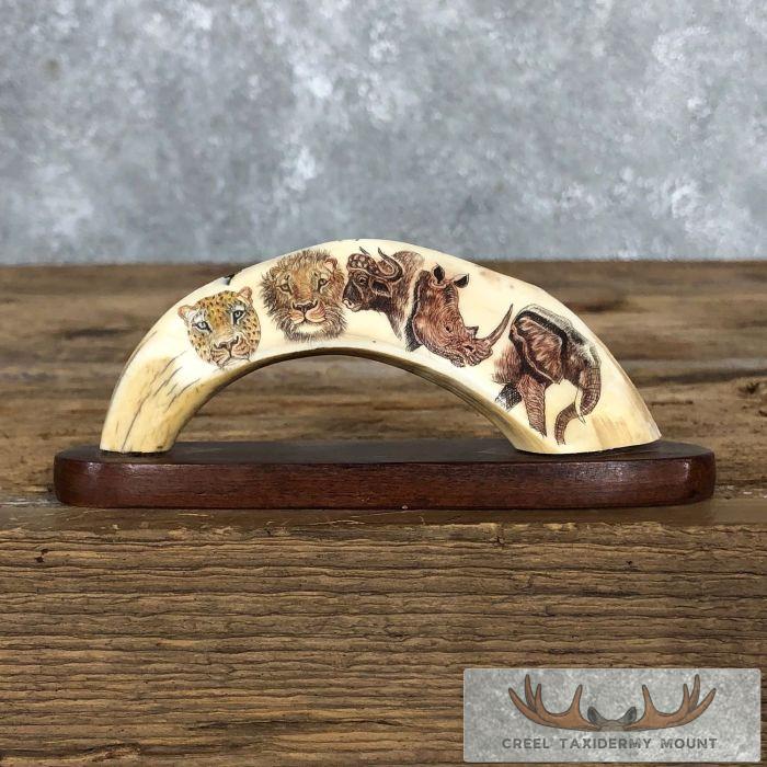 Scrimshaw Warthog Tooth Safari Decor For Sale