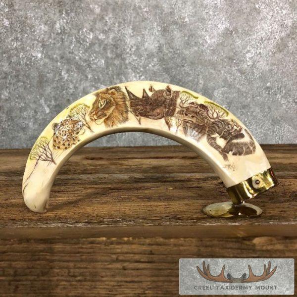 Scrimshaw Warthog Tooth Safari Decor For Sale