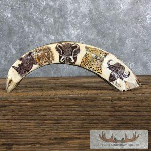 Scrimshaw Warthog Tooth Safari Decor Taxidermy
