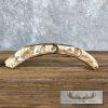 Scrimshaw Warthog Tooth Safari Decor For Sale